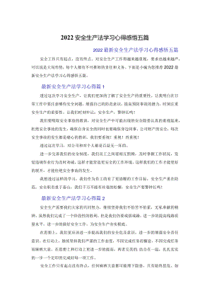 2022安全生产法学习心得体会感悟五篇.docx