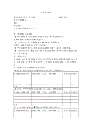 13.公司分立协议（存续分立）.docx