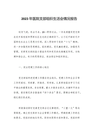 2023年医院支部组织生活会情况报告.docx