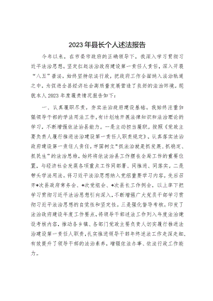 2023年领导述职述廉报告精选两篇合辑（县长）.docx