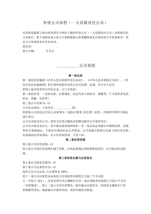 8.外资公司章程（一人有限责任公司）.docx
