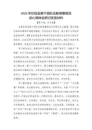 2023纪检监察干部队伍教育整顿心得体会3篇.docx