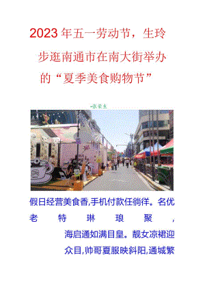 2023年五一劳动节生玲步逛南通市在南大街举办的“夏季美食购物节”.docx