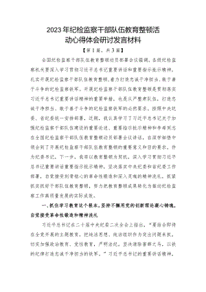 2023年纪检监察干部队伍教育整顿心得体会研讨发言材料共计-3篇.docx