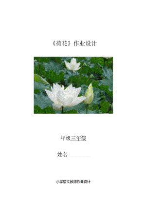 《荷花》“优质作业设计”.docx