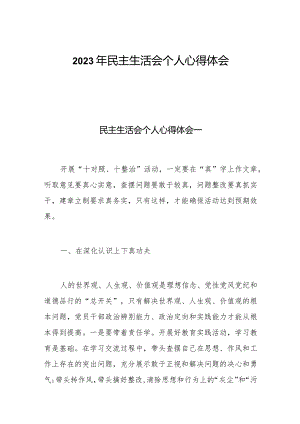 2023年民主生活会个人心得体会三篇.docx