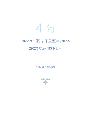 2022年PET瓶片行业五年(2022-2027)发展预测报告.docx