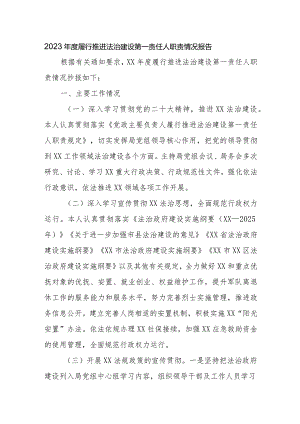 2023年度履行推进法治建设第一责任人职责情况报告.docx