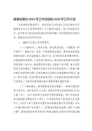 2023年工作总结及2024年工作计划精选合辑（巡察办+文体局）.docx