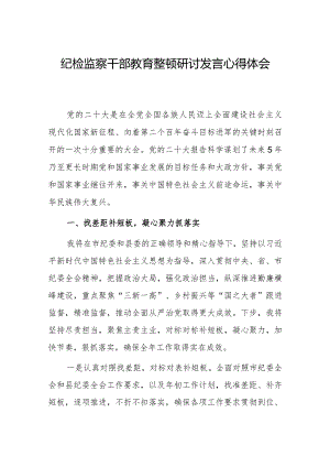 2023年纪委副书记纪检监察干部教育整顿研讨发言心得体会材料.docx