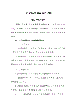 2022年度xx有限公司内控评价报告.docx
