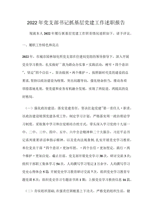 2022年党支部书记抓基层党建工作述职报告.docx