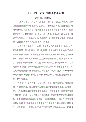 “三抓三促”行动专题研讨发言2篇.docx