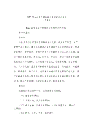 (3篇)2023国有企业干部选拔任用规章条例精选.docx