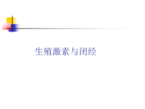 生殖激素与闭经.ppt