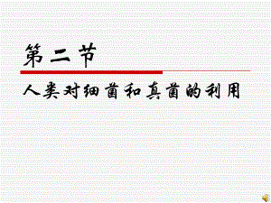 人类对细菌和真菌的利用.ppt