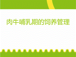 肉牛哺乳期的饲养管理.ppt