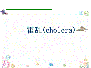 医院感染科霍乱专题讲座PPT.ppt