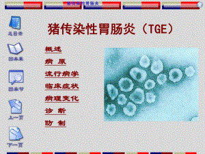 04猪传染性胃肠炎.ppt
