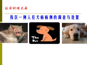 狂犬病的预防与控制.ppt