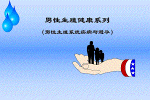 男性生殖健康系列：男性生殖系统疾病与避孕.ppt