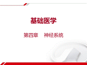 基础医学神经系统.ppt