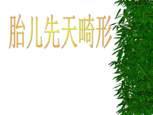 胎儿先天性畸形讲课.ppt