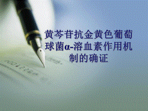 毕业设计黄芩苷抗金黄色葡萄球菌α溶血素作用机制的确证.ppt