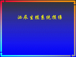 泌尿生殖系统损伤.ppt