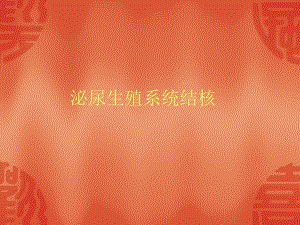 泌尿生殖系统结核.ppt
