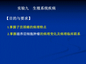 生殖系统疾病ppt演示文稿.ppt