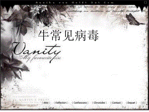 牛常见病毒.ppt