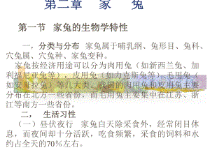 家兔品种.ppt