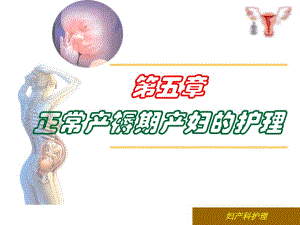 第五章正常产褥期产妇的护理.ppt