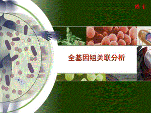 全基因组关联分析.ppt.ppt