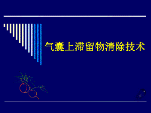 气囊上滞留物清除技术.ppt.ppt