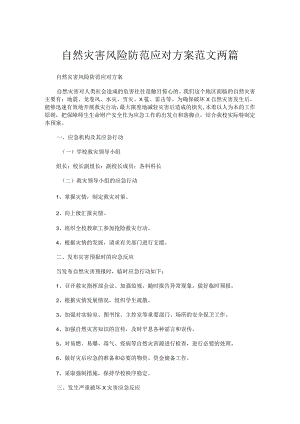 自然灾害风险防范应对方案范文两篇.docx