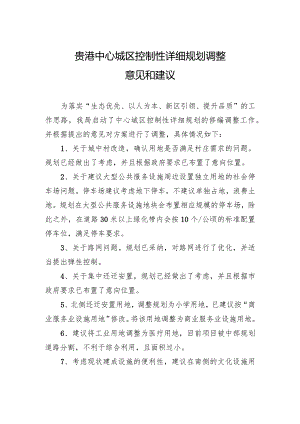 贵港中心城区控制性详细规划调整意见和建议.docx