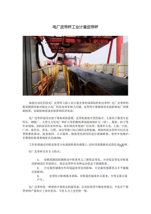 电厂皮带秤工业计量皮带秤.docx