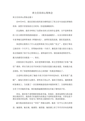 班主任培训心得体会.docx