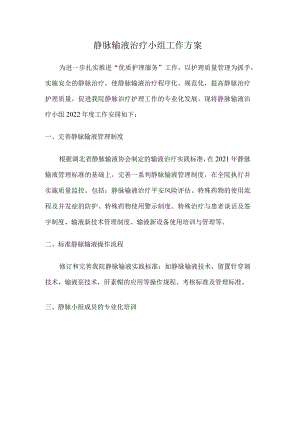 静脉输液治疗小组工作方案.docx