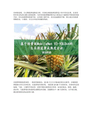 生长期菠萝成熟度分析科研进展.docx