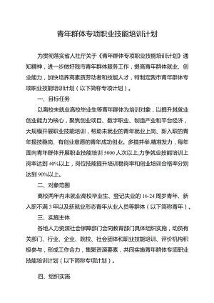 青年群体专项职业技能培训计划.docx