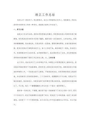 转正工作总结.docx