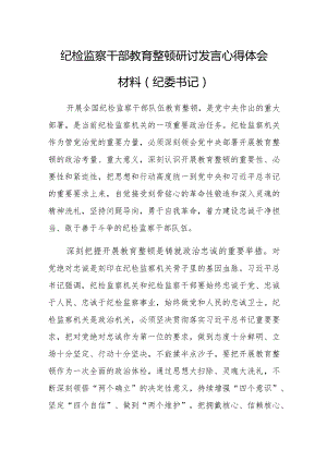 纪检监察干部教育整顿研讨发言心得体会材料（纪委书记）.docx