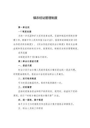 镇农经站管理制度.docx