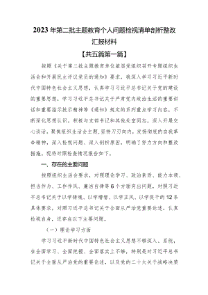 （5篇）2023年第二批主题教育专题个人问题检视清单剖析整改汇报材料.docx