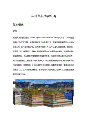 碳捕集技术（CCUS）.docx