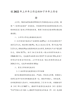 镇2022年上半年工作总结和下半年工作安排.docx