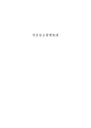 项目安全管理制度.docx